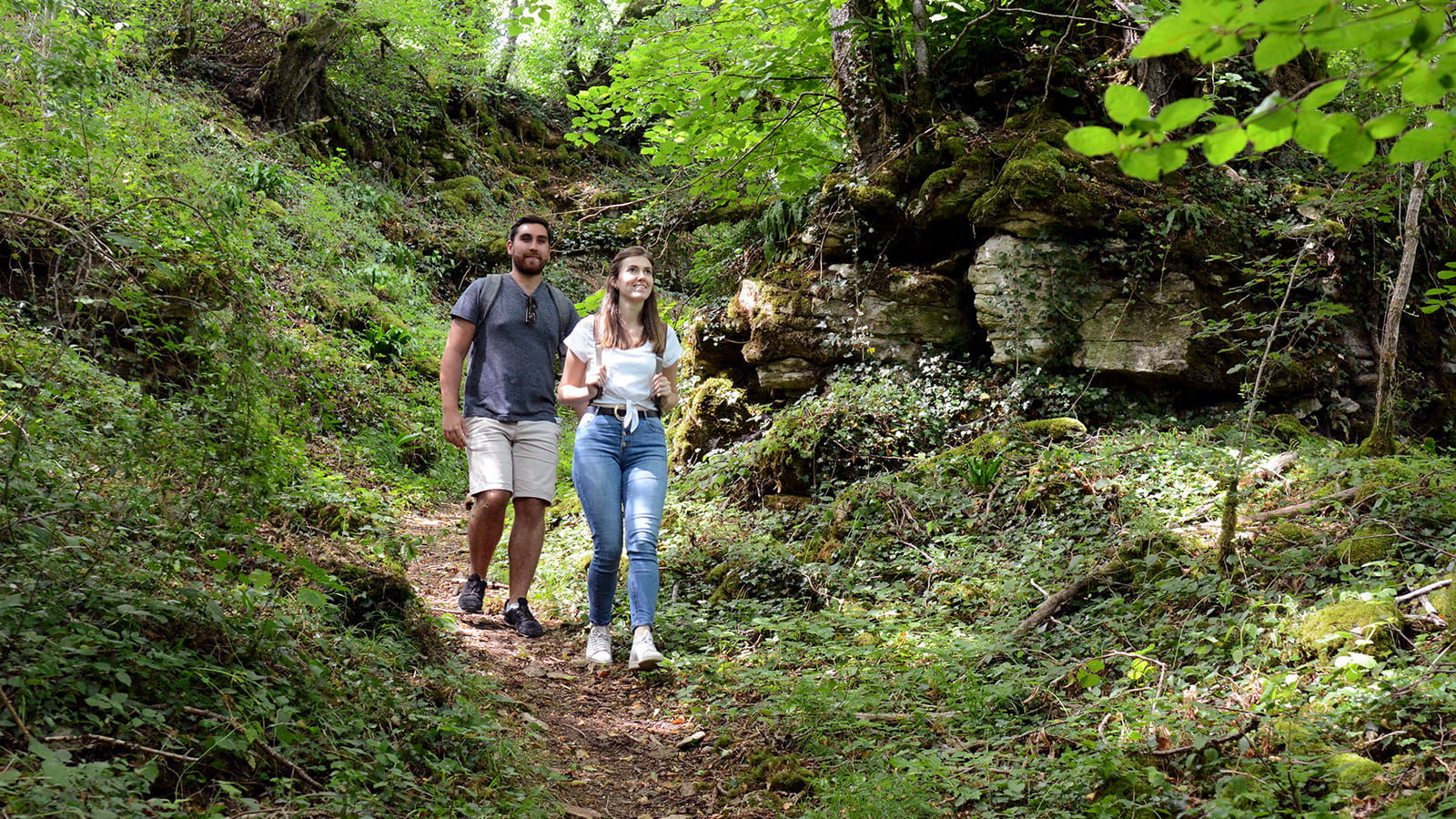 Balade dans le Parc national de forêts