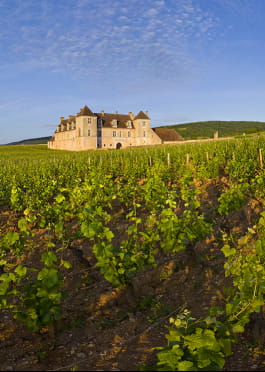 Château du Clos de Vougeot