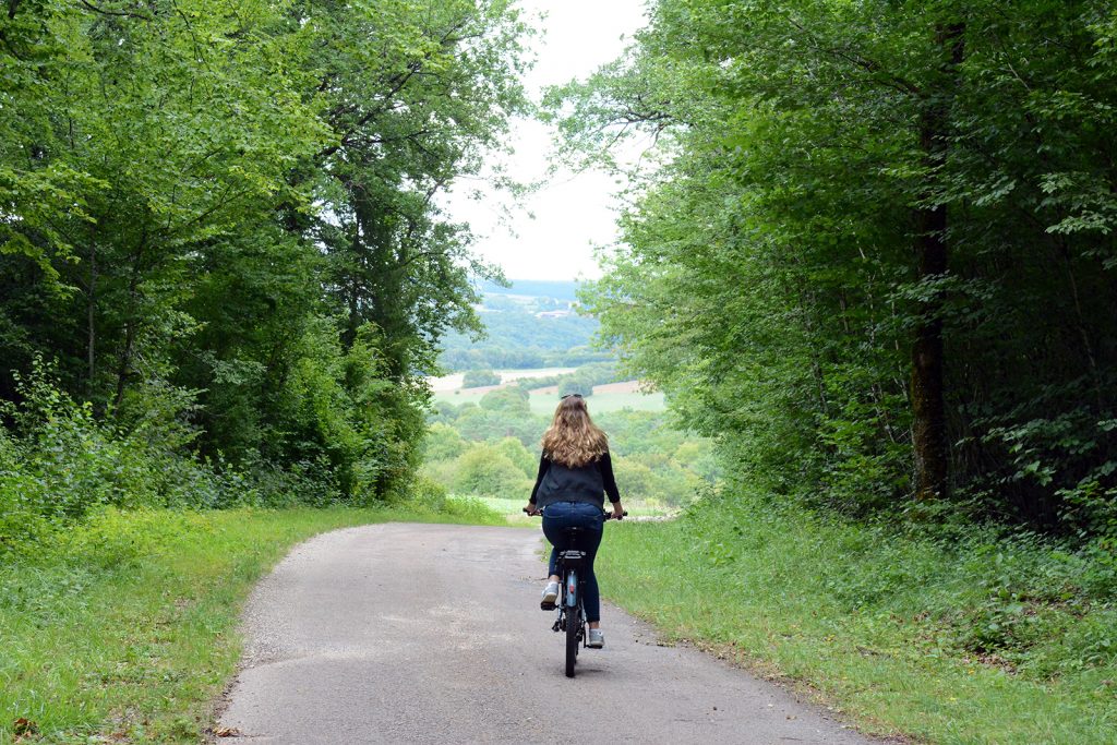 Parc national de forêts