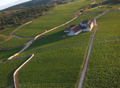 Clos de Vougeot vu du ciel