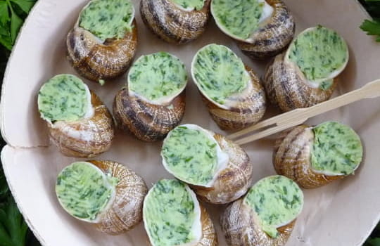 Escargot de Burgonde plat