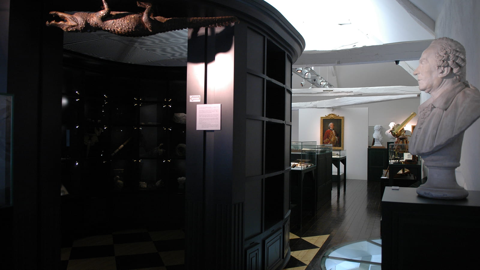 Intérieur du musée Buffon