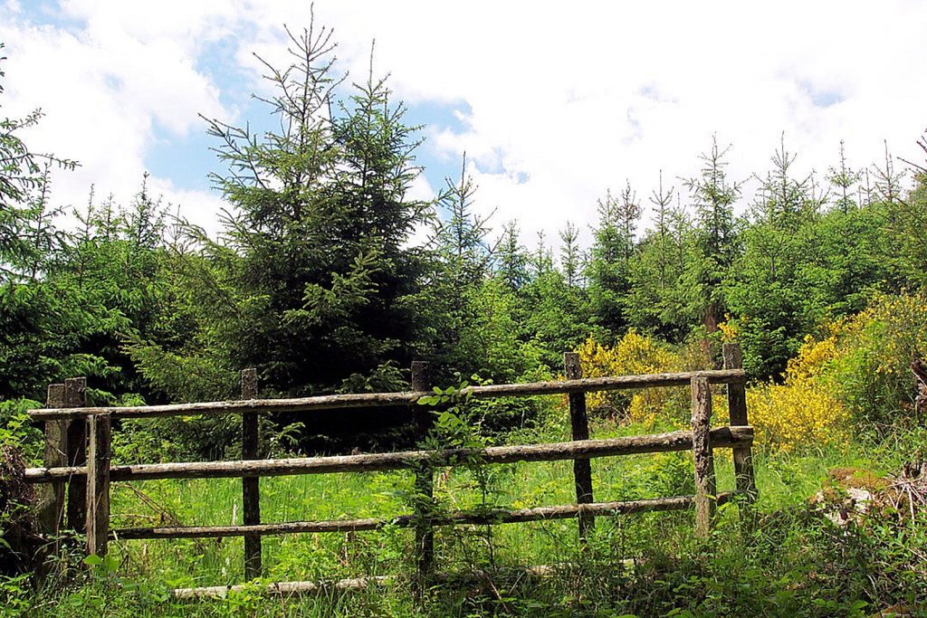 Parc Naturel du Morvan | La Côte d'or J'adore