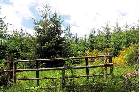 Morvan