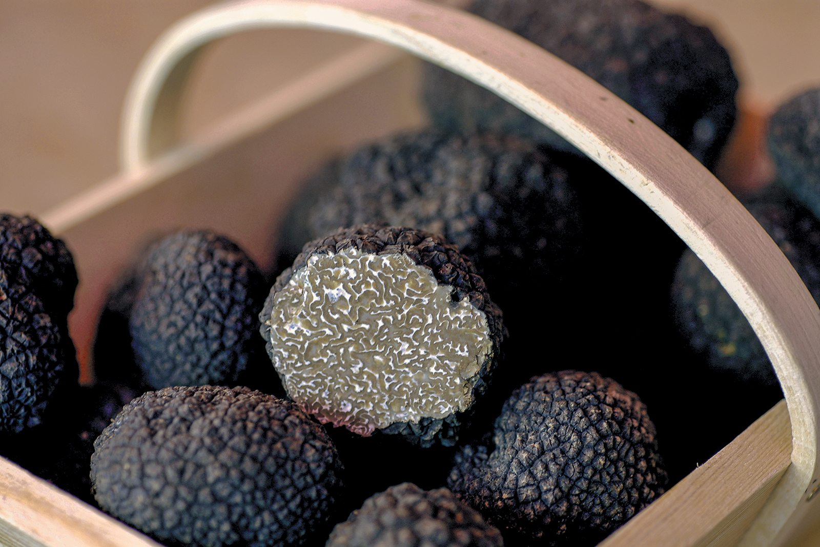 Truffes de Bourgogne