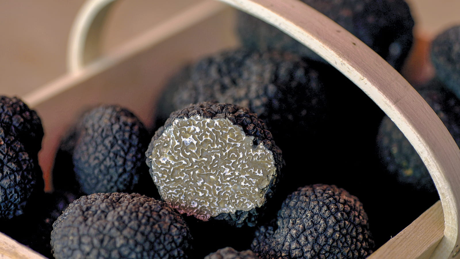 Truffes de Bourgogne