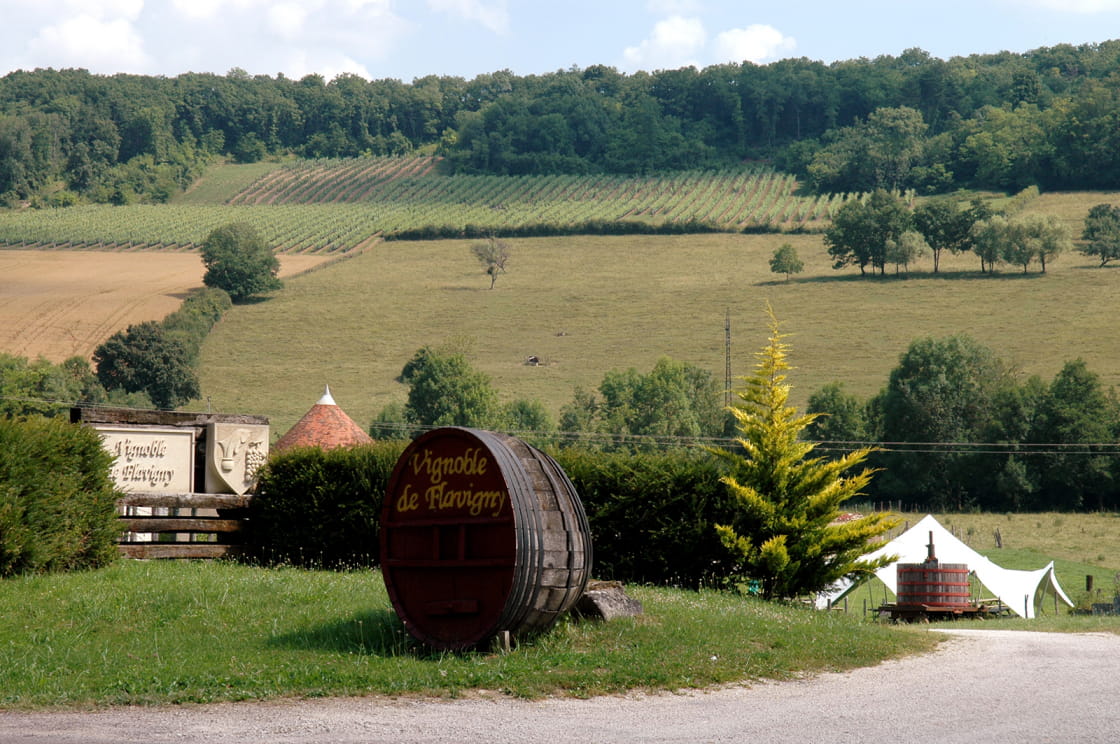 Vignoble de Flavigny-Alésia