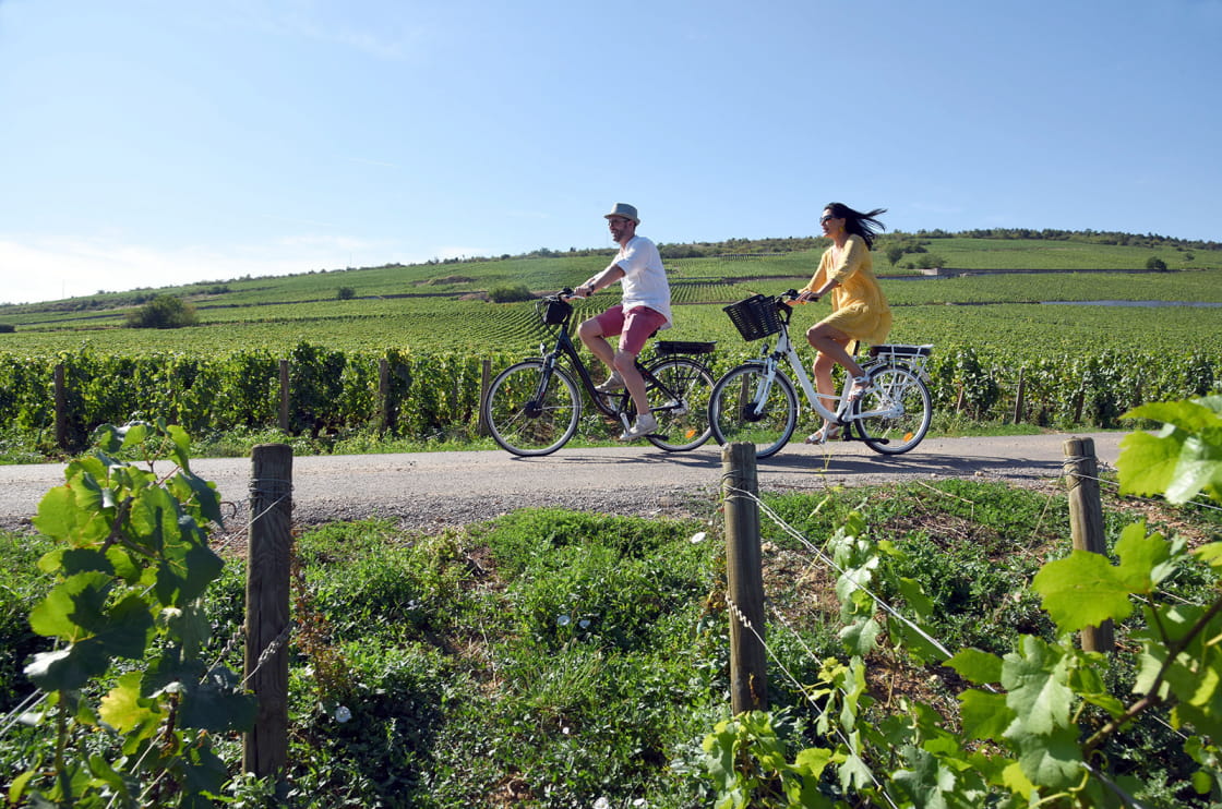 À vélo dans les vignes