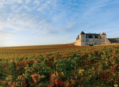 Clos De Vougeot