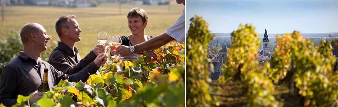 Dégustation sur la Route des grands crus