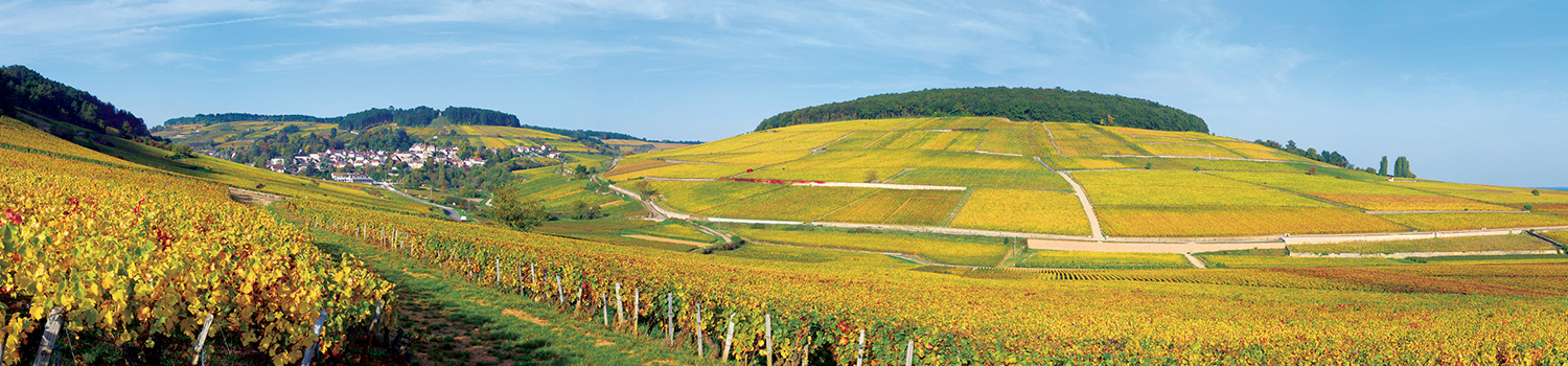 Michel Baudouin Butte de Corton