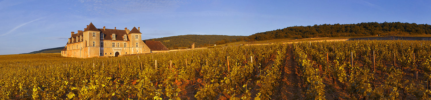 Michel Baudouin Vignes Vougeot