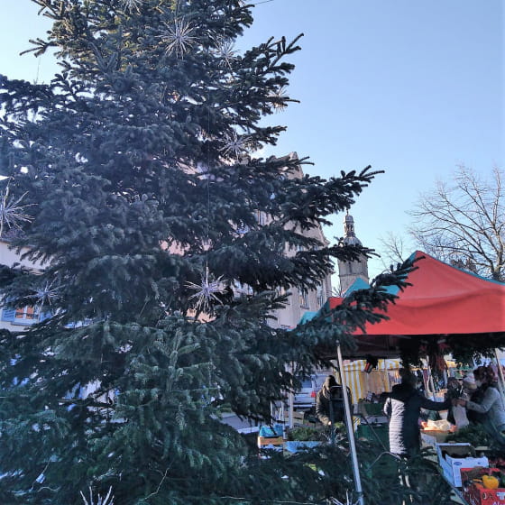 Fête des Sapins à Saulieu