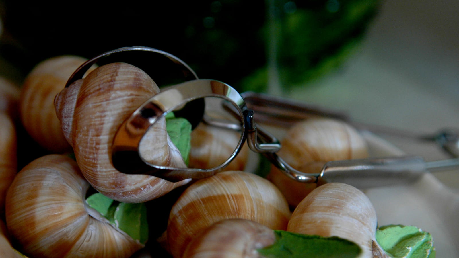 Escargots de Bourgogne