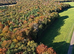 Parc national de forêts