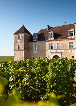 Château du Clos de Vougeot