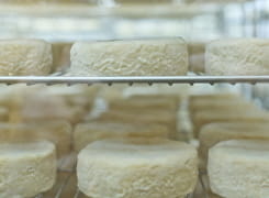 Fromagerie Gaugry