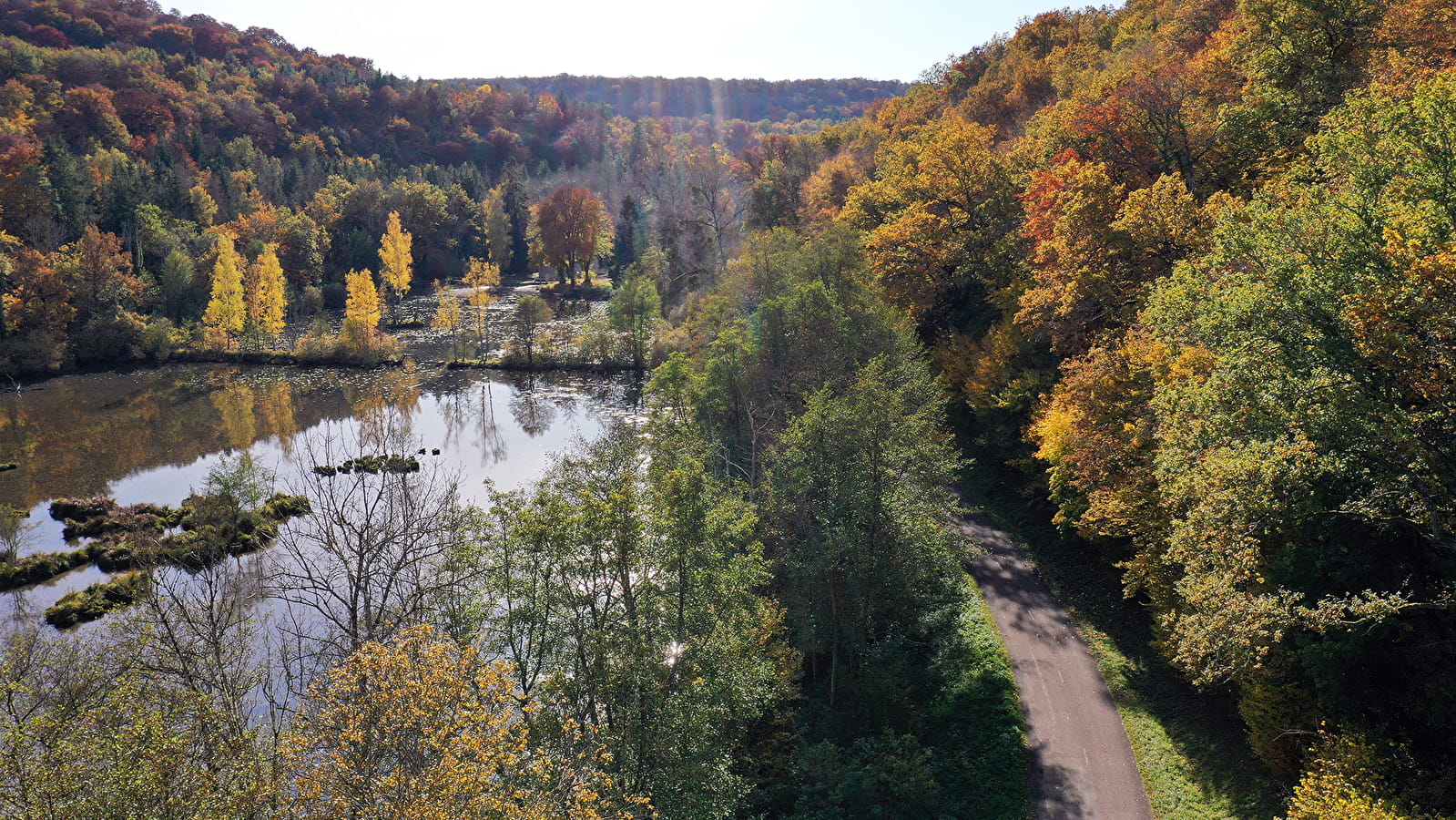 Parc national de forêts en automne