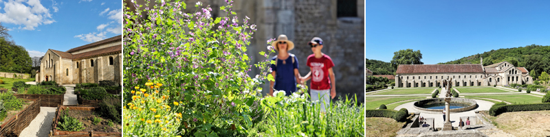 Jardin Abbaye de Fontenay