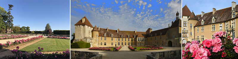 Jardin Château Époisses