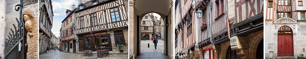 Ruelles dans Dijon, statue de la chouette