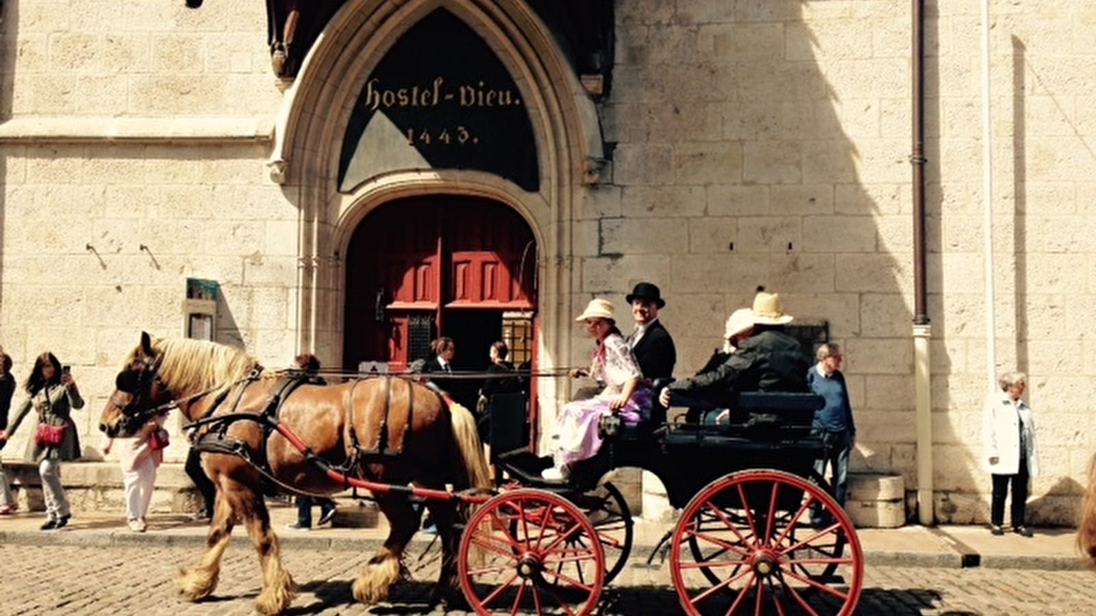 Attelage Beaune Passion - Balade 'Prestige' en calèche