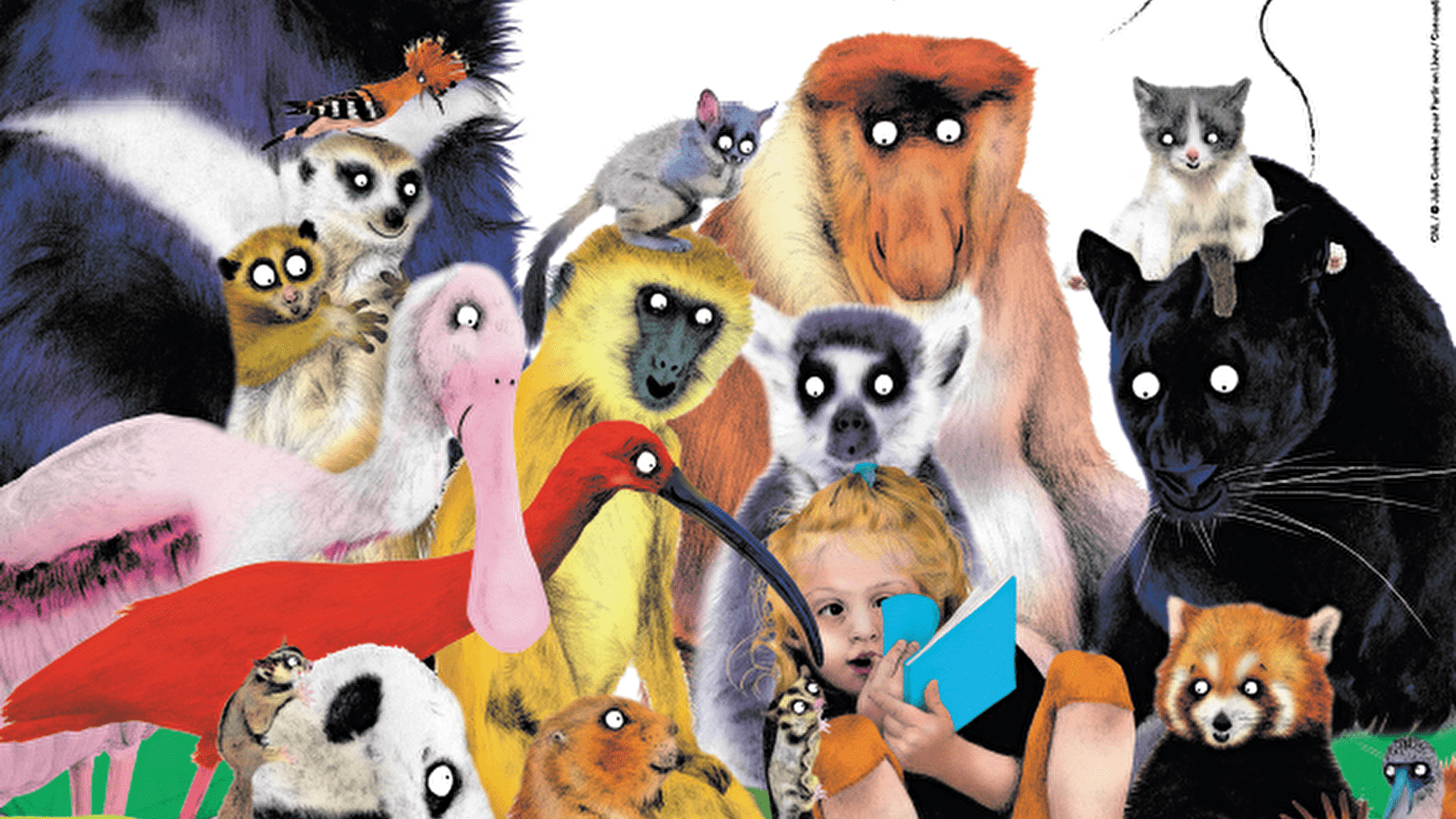 Les animaux et nous : lectures et atelier dessin