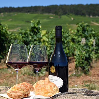 Entre Terre et Cave : l’Art de Vivre en Bourgogne