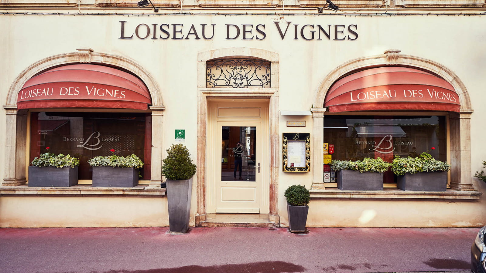 Loiseau des Vignes