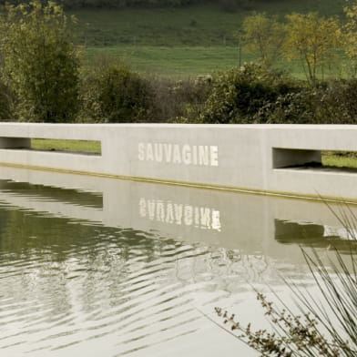 Oeuvre du lavoir de Blessey à Source-Seine