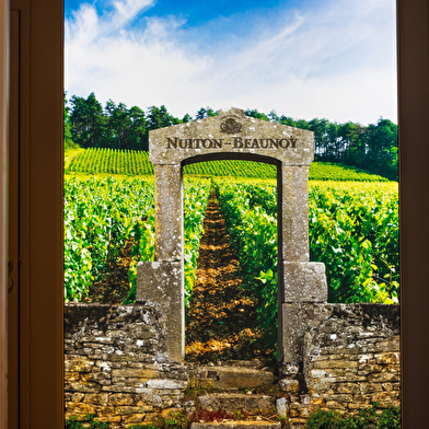 Nuiton-Beaunoy - La Cave des Hautes-Côtes