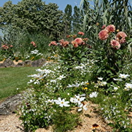 SEMUR-EN-AUXOIS - SEMUR-EN-AUXOIS