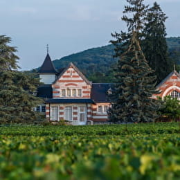 Henri de Villamont - SAVIGNY-LES-BEAUNE