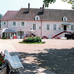 Delagrange Bernard & Fils - MEURSAULT