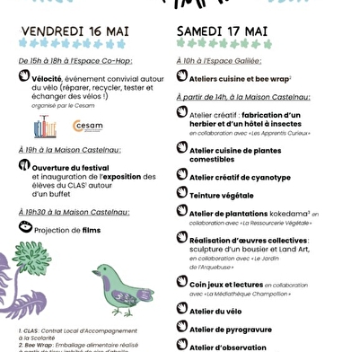 Festi Pluriel-le #3