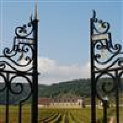 ECOLE DES VINS DE BOURGOGNE, THE ULTIMATE BOURGOGNE WINE TASTING : 33 GRANDS CRUS