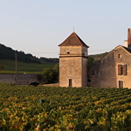 Clos du Moulin aux Moines - AUXEY-DURESSES