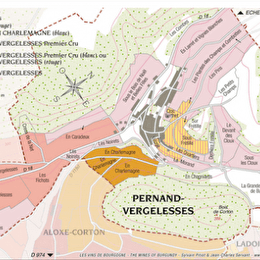 Grand tour du coteau de Corton - LADOIX-SERRIGNY