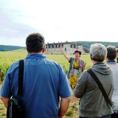Clos de Bourgogne, les escapades 'secrets de la vigne au vin'