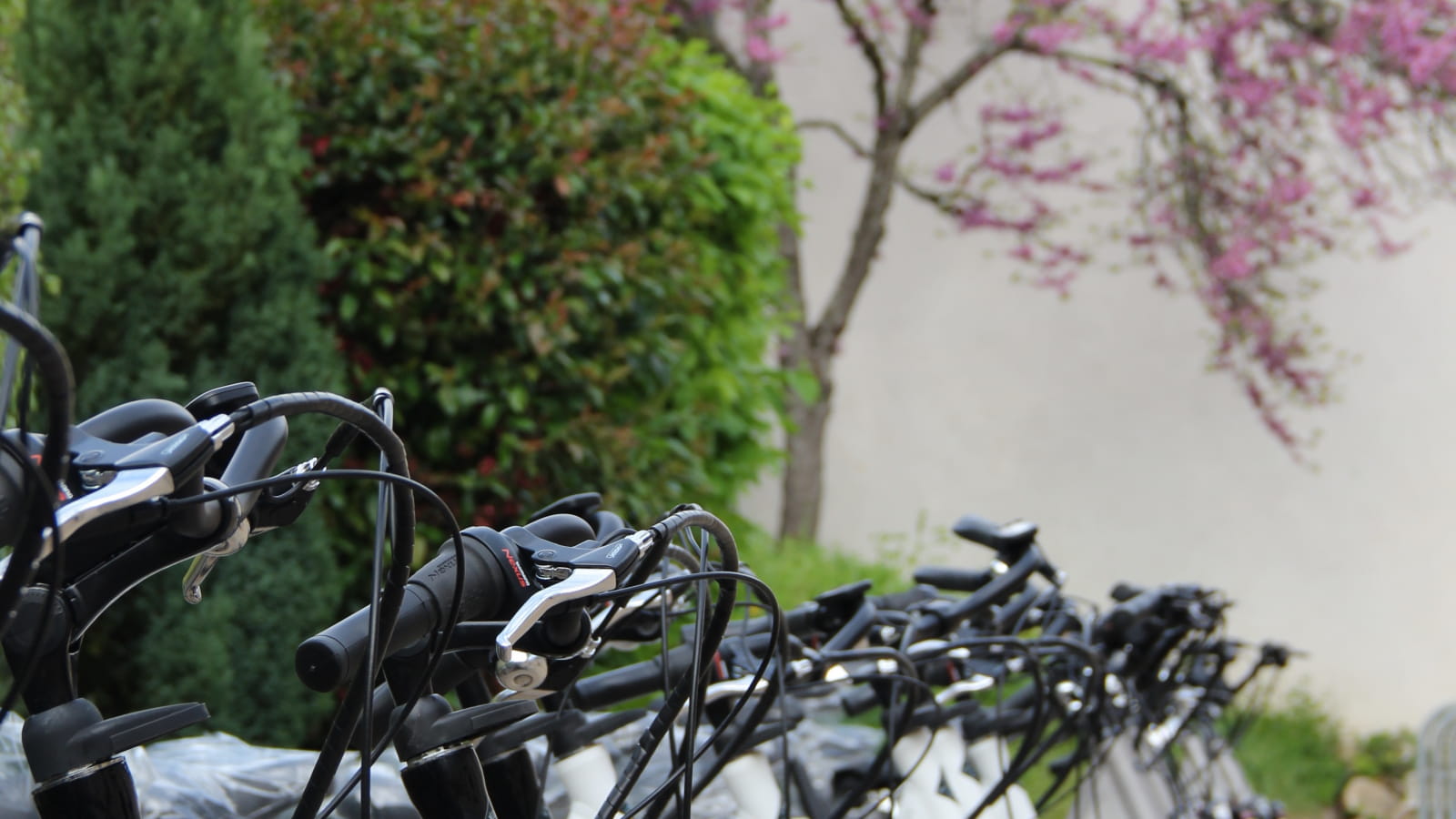 Burgundy Bike