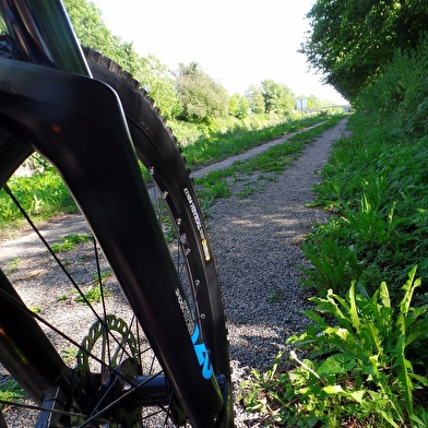 Fête du vélo à Longchamp