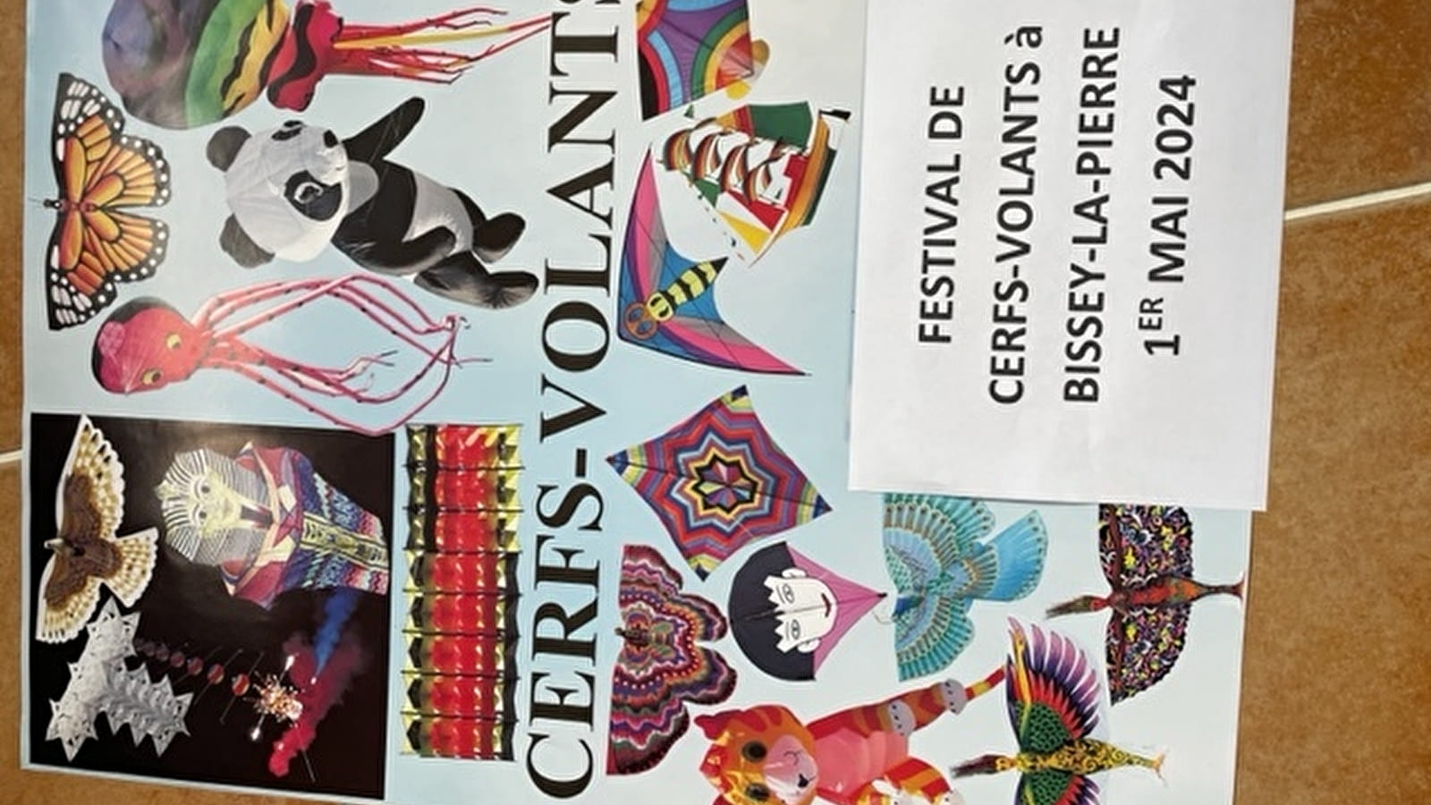 FESTIVAL DE CERFS-VOLANTS 2024