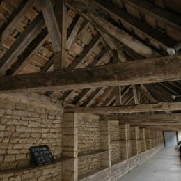 Halles - SALMAISE