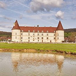 Grand marché des artisans et producteurs - CHAILLY-SUR-ARMANCON