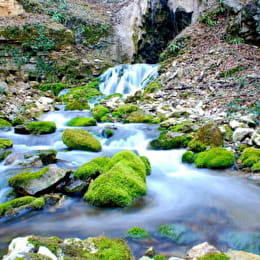 Source du Bel Affreux - ANTHEUIL