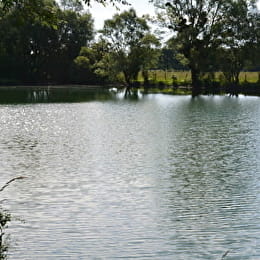 Pêche dans la Tille et l'Ignon - IS-SUR-TILLE