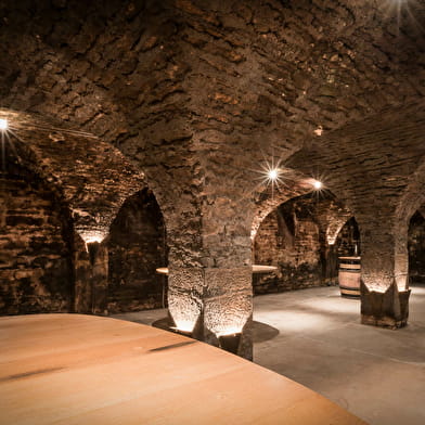 Dégustation musicale aux Caves Saint-Nicolas de la Maison Albert Bichot à Beaune