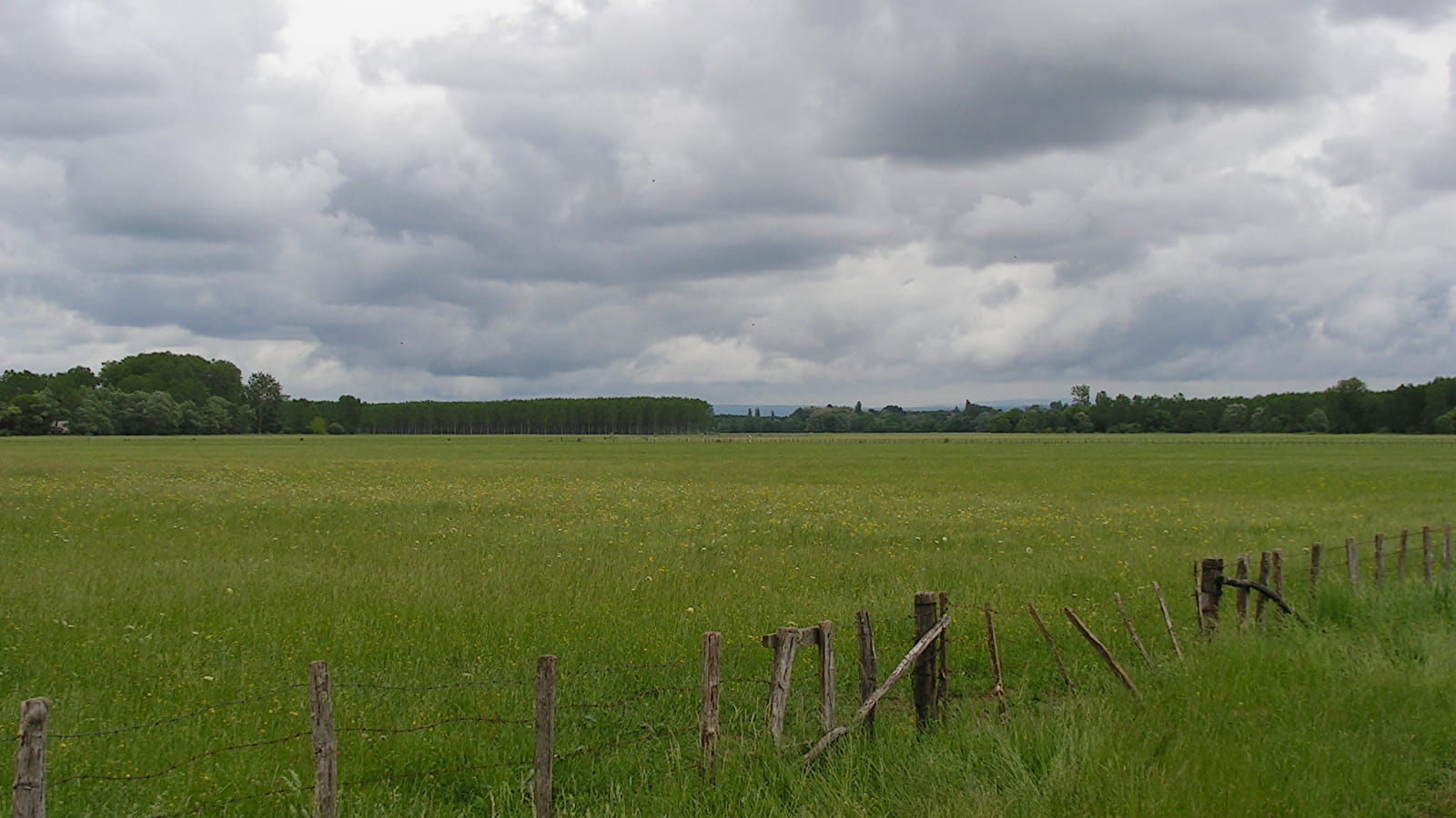 ENS2023 - A la découverte des 'Prairies et forêts alluviales du Val de Saône'