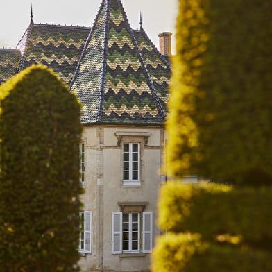 Bouchard Père & Fils - Dégustation Prodigio