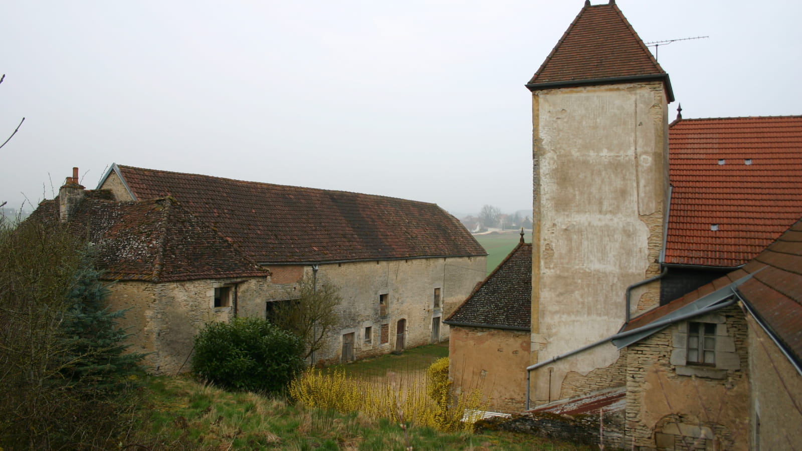 Ferme en agriculture biologique de Florence Voisot